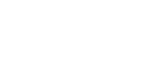 全国花火名人選抜競技大会 ふくろい遠州の花火