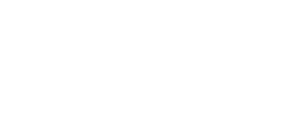 全国花火名人選抜競技大会 ふくろい遠州の花火