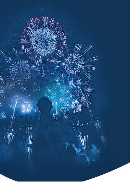 華麗な花火がいくつも上がっている綺麗な夜空